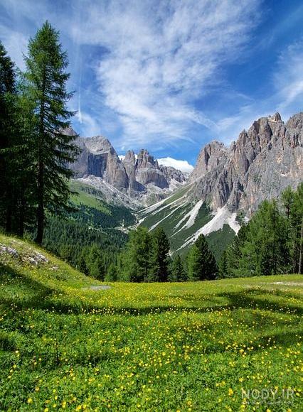عکس پروفایل طبیعت دخترانه عکس پروفایل طبیعت دخترانه