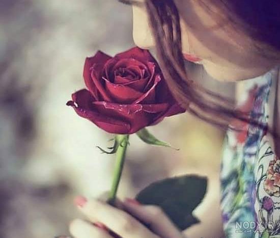 عکس پروفایل گل عاشقانه