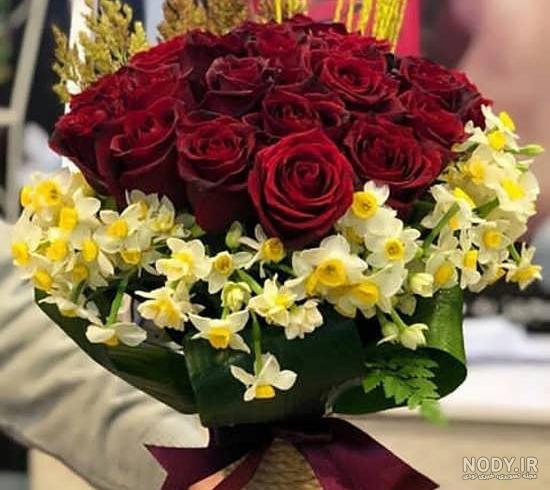 عکس گل نرگس و رز عکس گل نرگس و رز