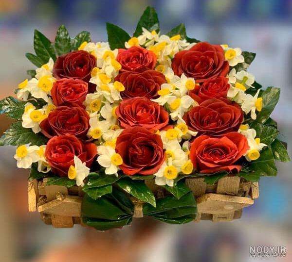 عکس گل نرگس وحشی عکس گل نرگس وحشی