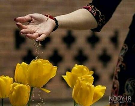 عکس گل و بلبل برای پروفایل