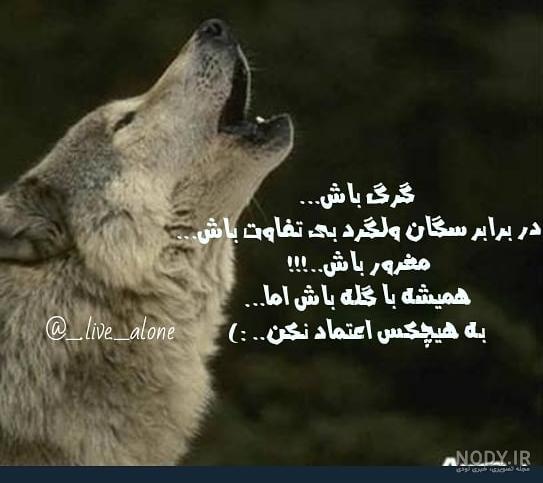 فیلم ترسناک گرگ