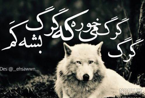 فیلم گرگ