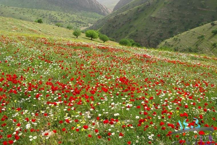 نقشه سرپل ذهاب و روستاهای اطراف نقشه سرپل ذهاب و روستاهای اطراف