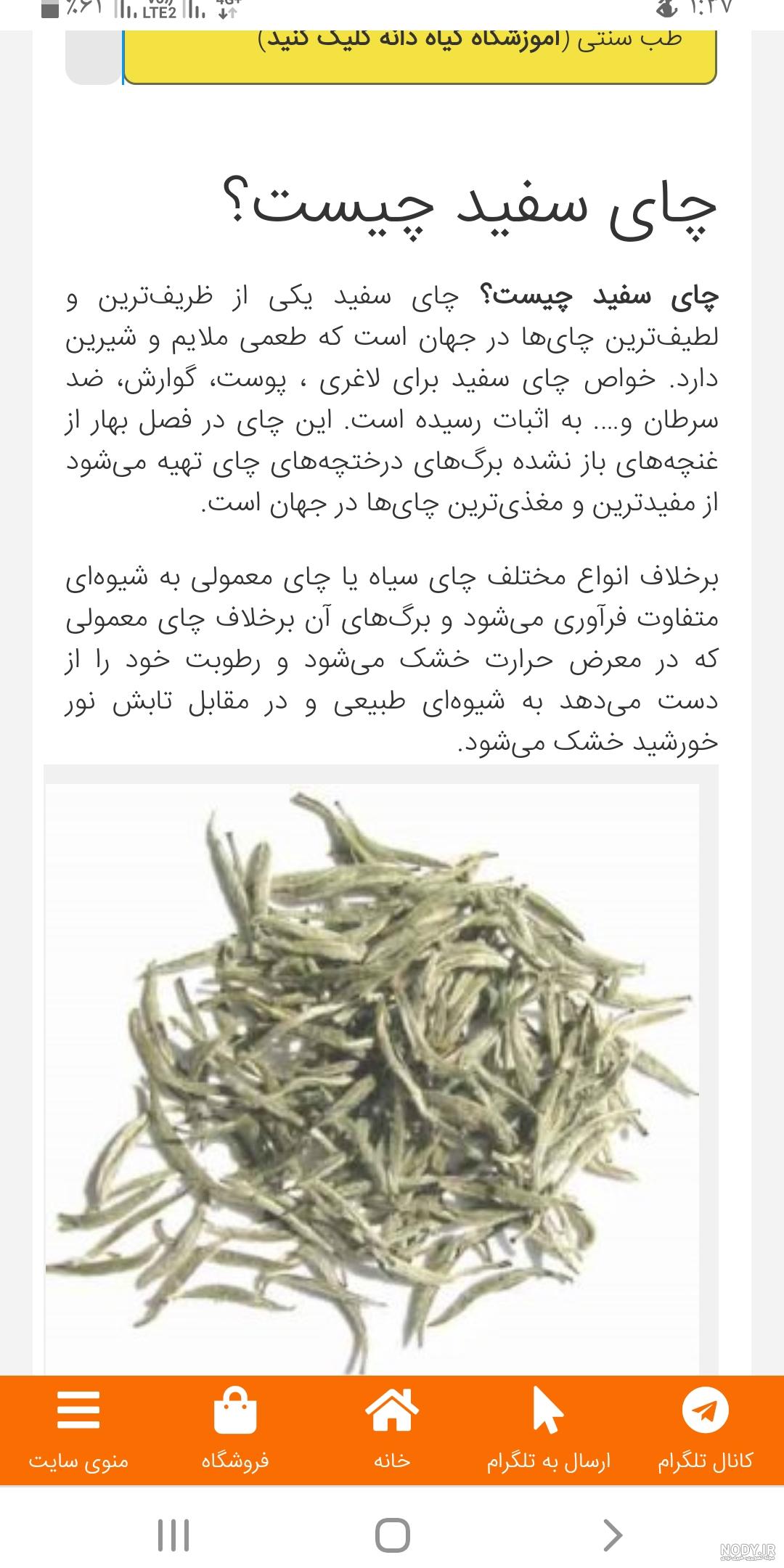 چای سفید دیجی کالا