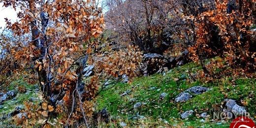کتیبه سرپل ذهاب کتیبه سرپل ذهاب