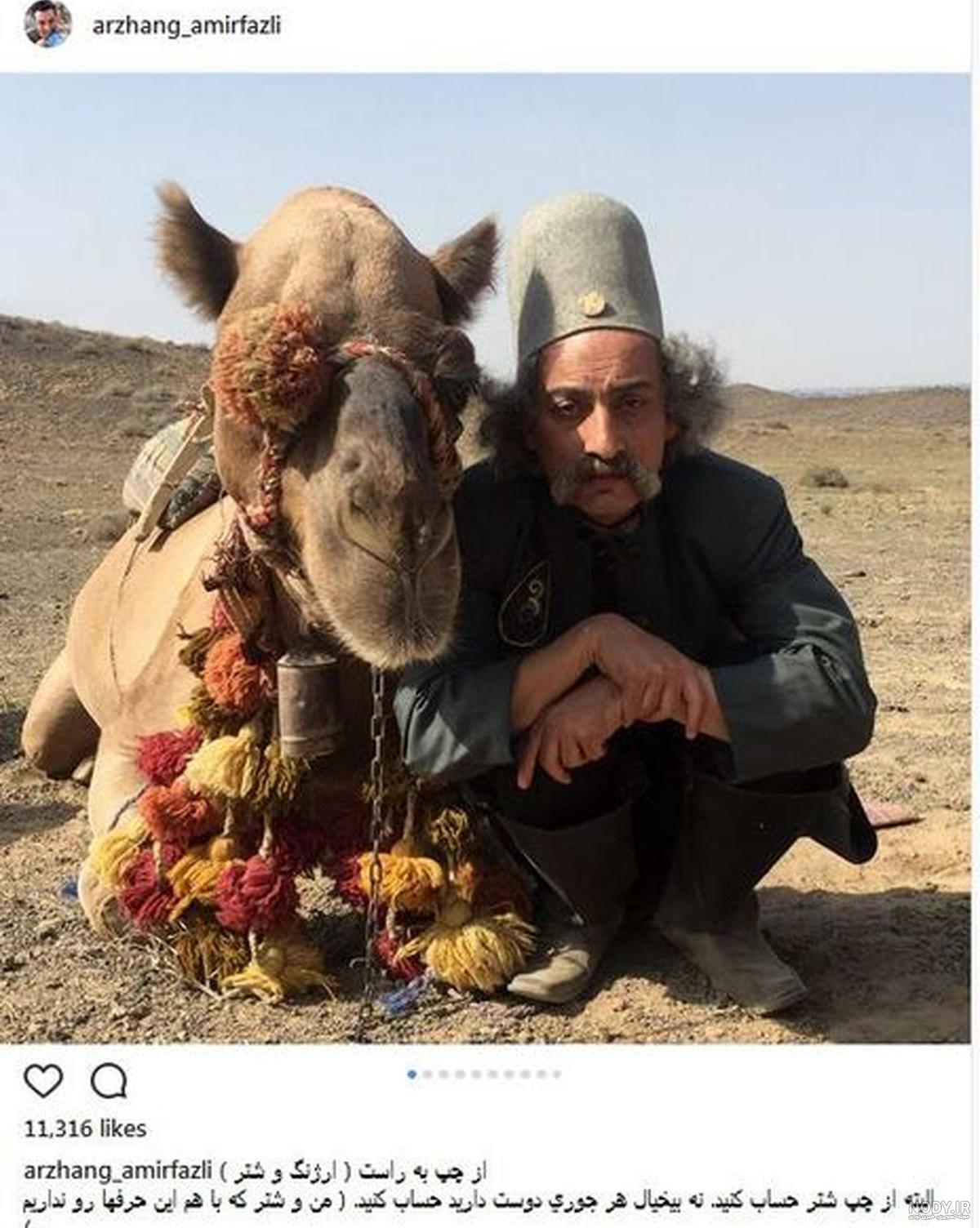 کدام شتر در جای سردتری زندگی میکند چرا