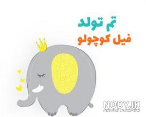 کیک تولد فیلی کیک تولد فیلی