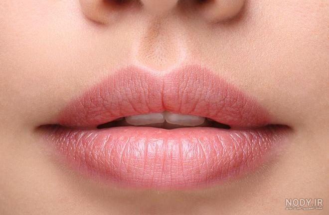 عکس تاتو لب روی بدن عکس تاتو لب روی بدن