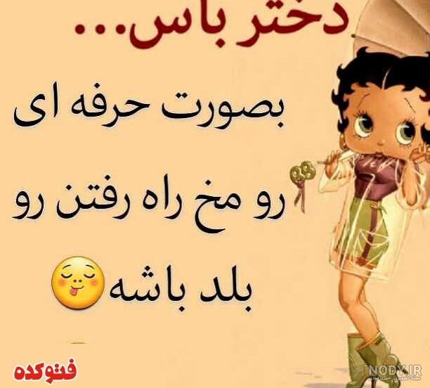 عکس لواشک خانگی عکس لواشک خانگی