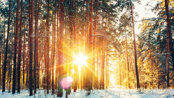 عکس خفن عکس طلوع خورشید صبح