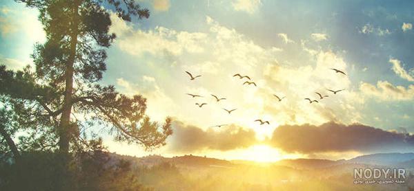 عکس خفن عکس طلوع خورشید صبح