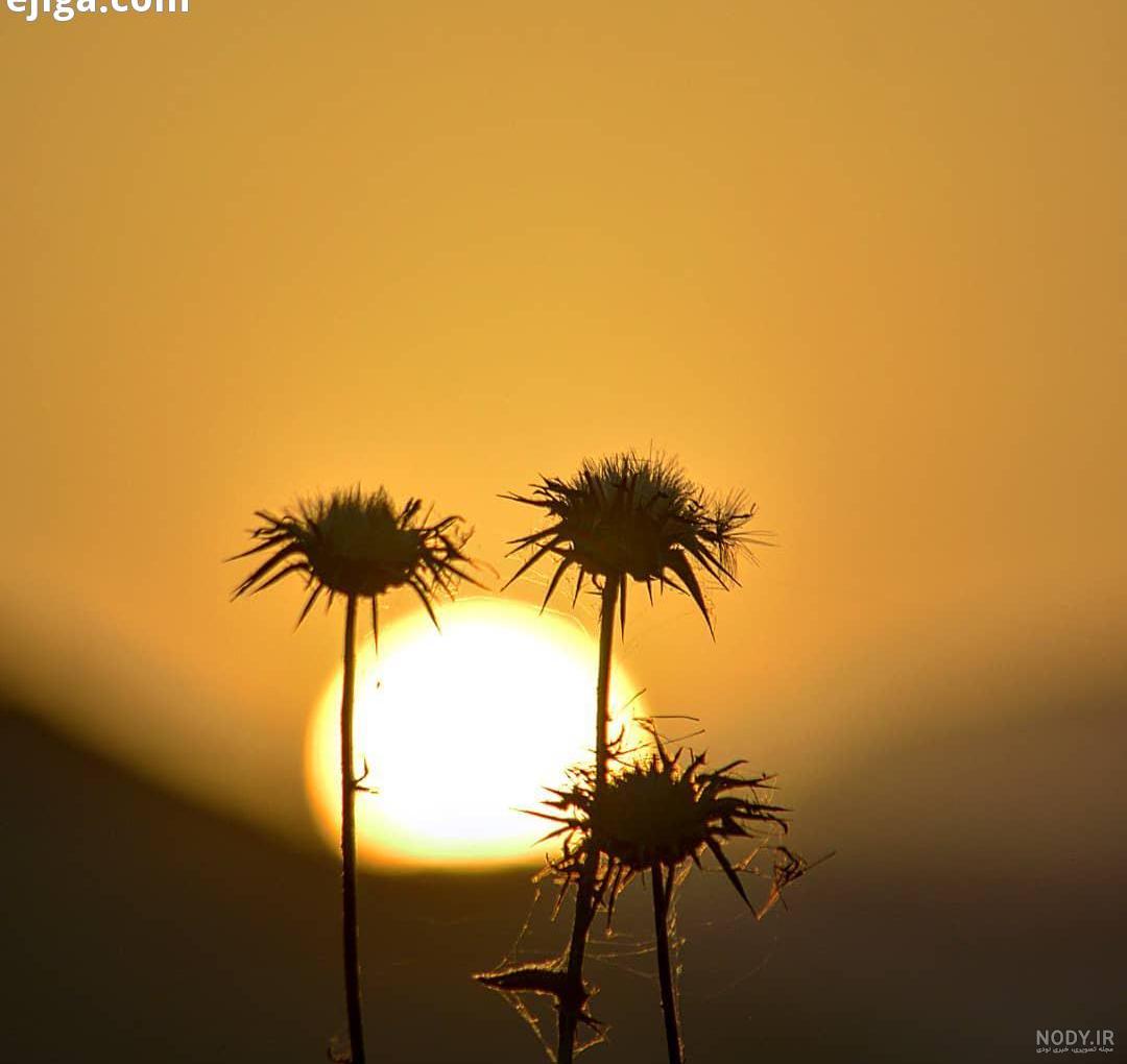 عکس خفن عکس طلوع خورشید صبح