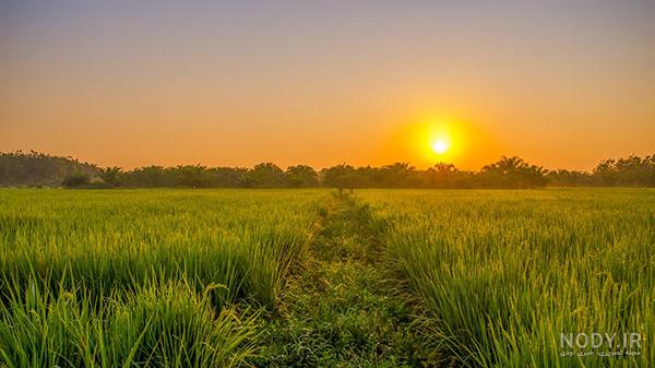 عکس طلوع خورشید از پشت پنجره