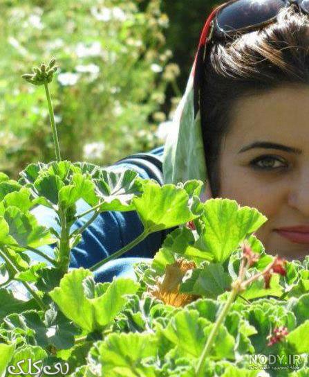تاریخ تولد شیما ضیا