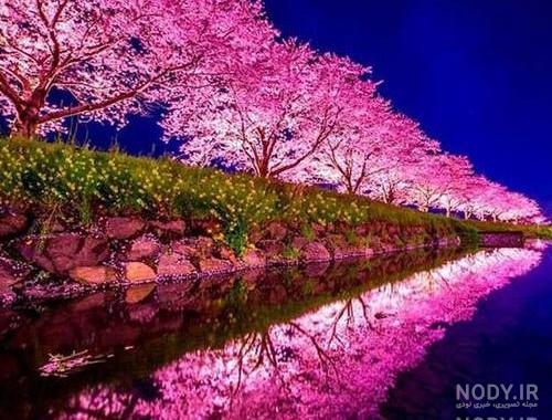 زیباترین عکسهای طبیعت