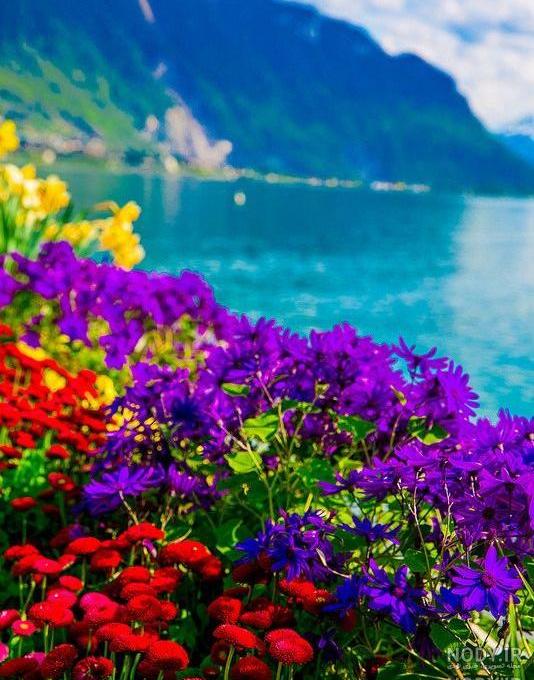 زیباترین عکسهای طبیعت برای پروفایل