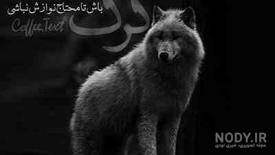عکس با معنی برای استوری