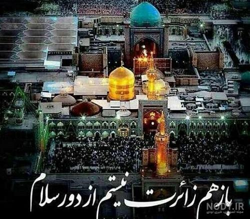 عکس حرم امام رضا با کبوتر