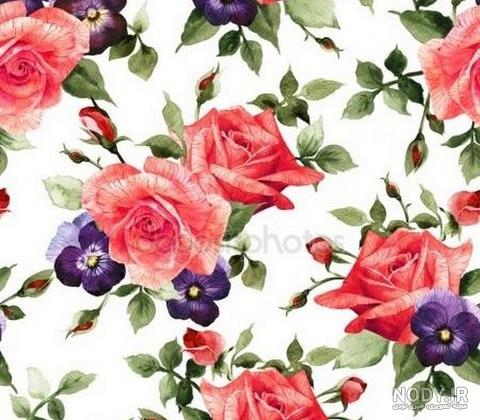 عکس قاب خالی برای نوشتن اسم