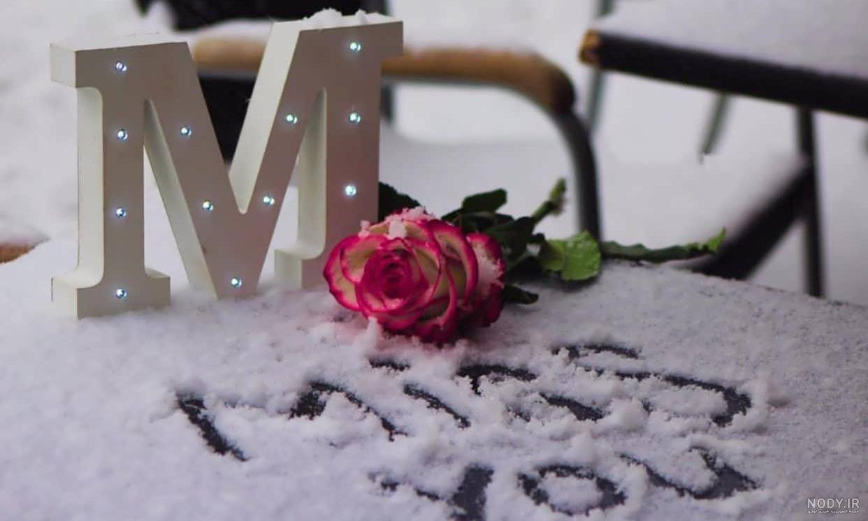 عکس های زیبای حروف m