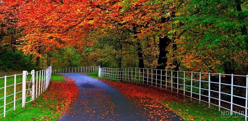 عکس پروفایل طبیعت دخترانه