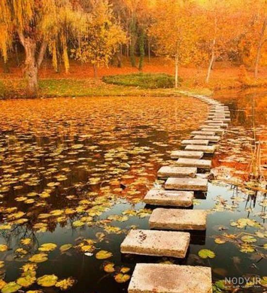 عکس پروفایل منظره عاشقانه