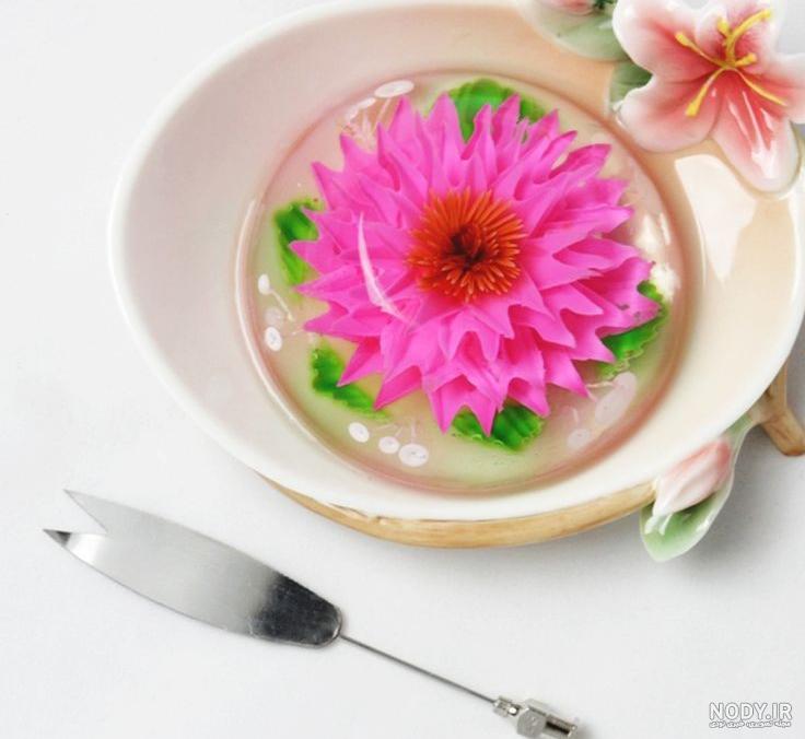 عکس ژله تزریقی ساده عکس ژله تزریقی ساده