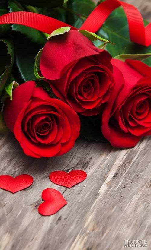 عکس گل سیاه و سفید برای پروفایل