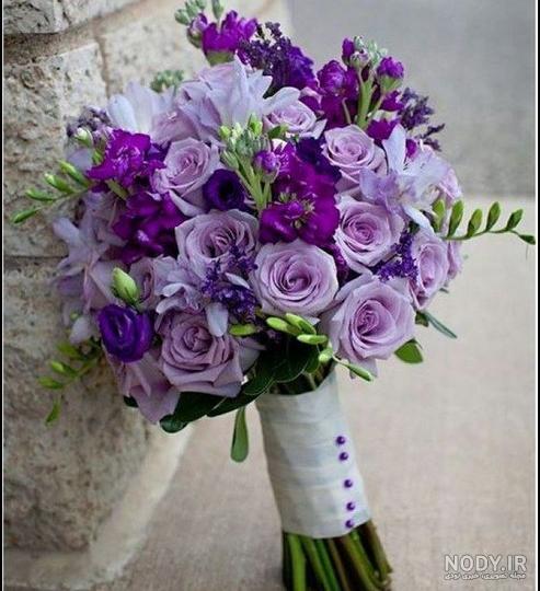 عکس گل یاس زرد عکس گل یاس زرد