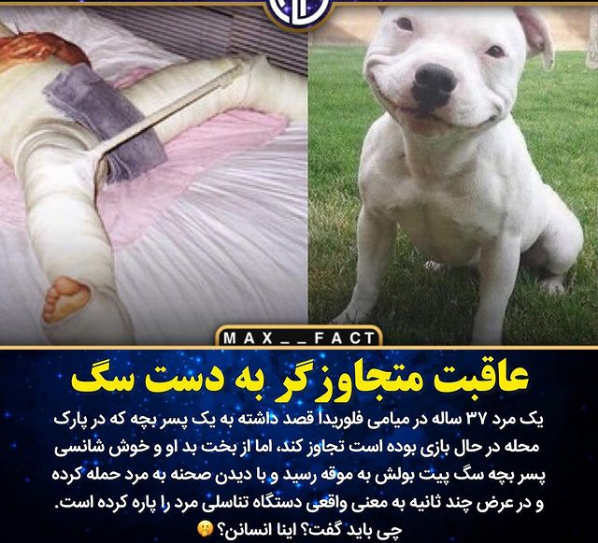 قیمت چاقو جیبی کوچک