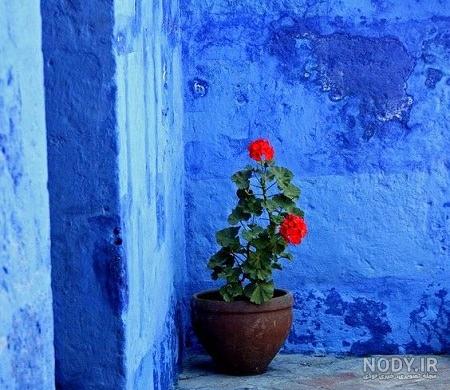 عکس طبیعت رویایی زیبا