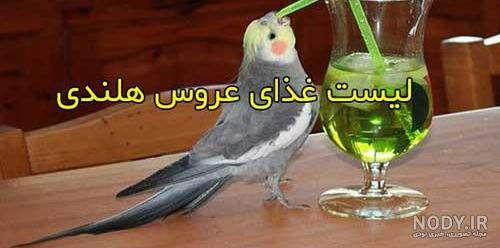 لباس برای عروس هلندی