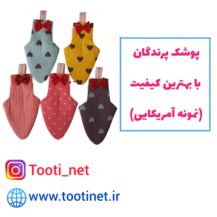 پرواز عروس هلندی با جلیقه پرواز
