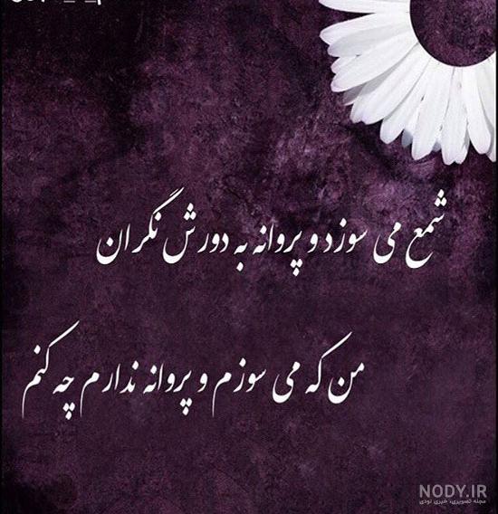 پروفایل شعر عاشقانه مولانا پروفایل شعر عاشقانه مولانا