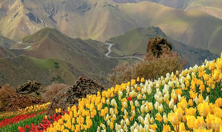 باغ گل و گیاه تهران باغ گل و گیاه تهران