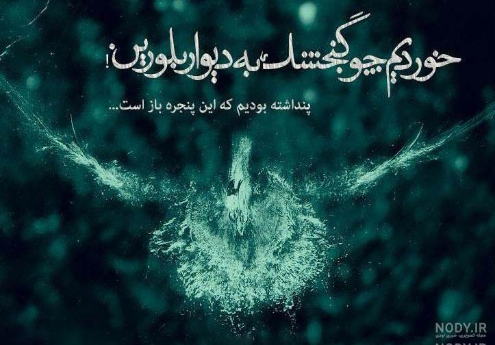 بیوگرافی دکتر سید مهدی موسوی بیوگرافی دکتر سید مهدی موسوی