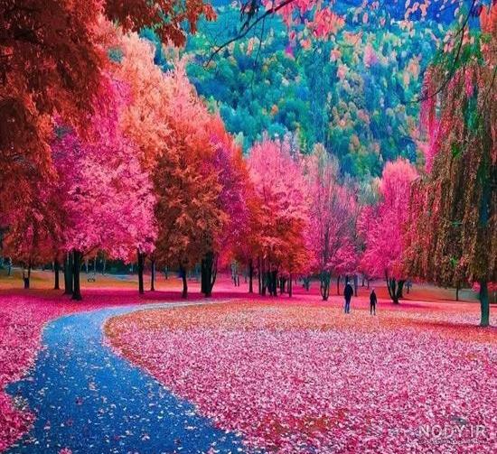 تصاویر رویایی طبیعت