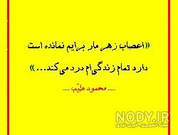 حجت الاسلام سید مهدی موسوی شبکه ولایت حجت الاسلام سید مهدی موسوی شبکه ولایت