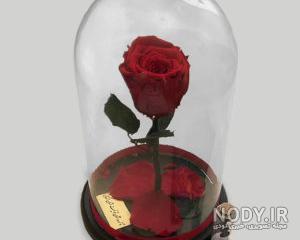 خرید حضوری گل رز جاودان