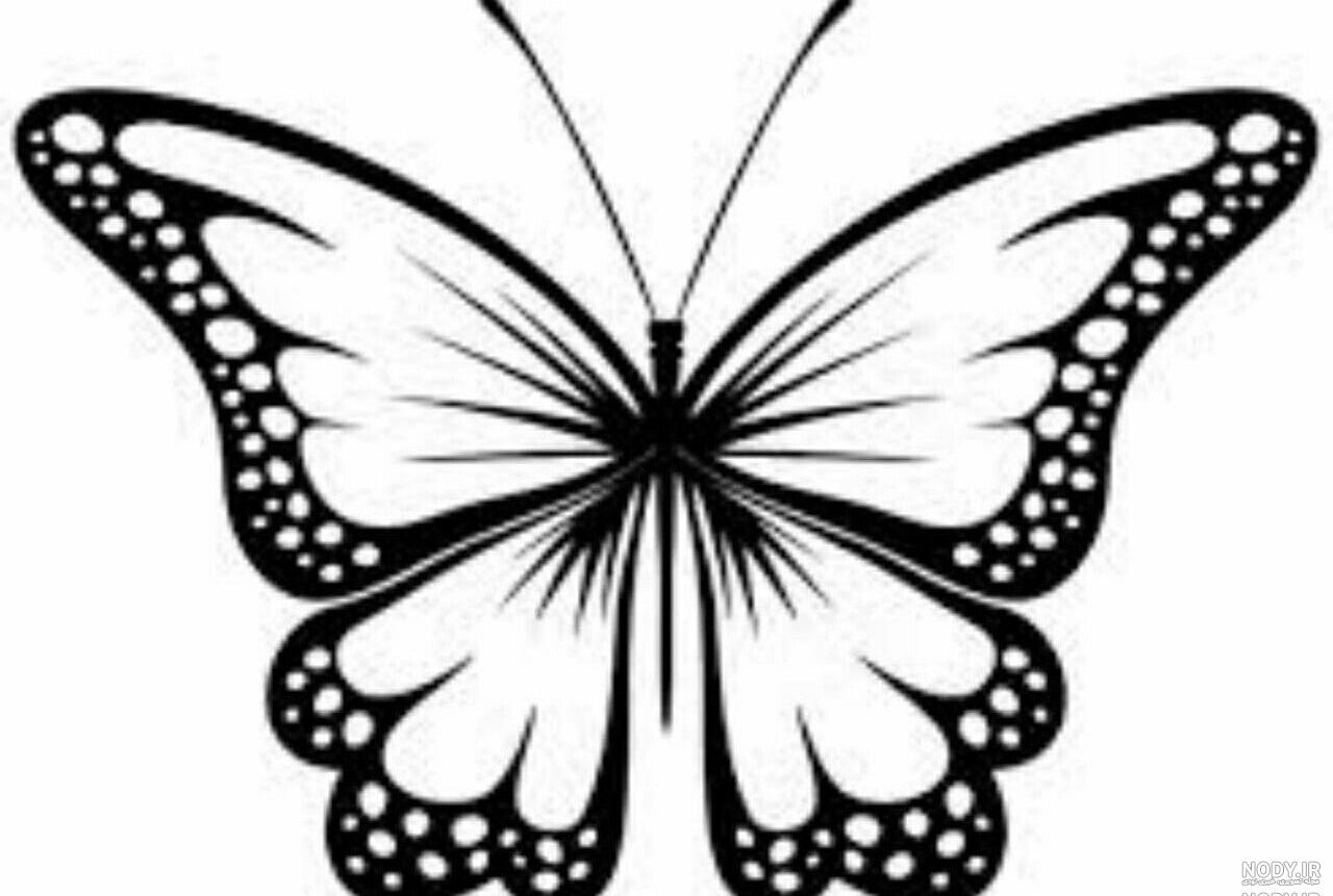 رنگ پروانه نقاشی رنگ پروانه نقاشی