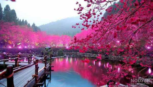 زیباییهای ژاپن