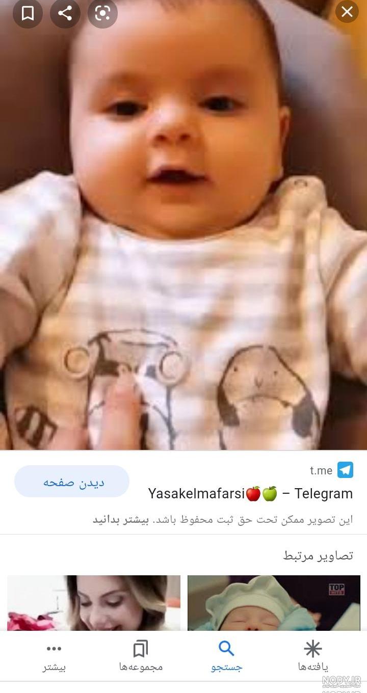 شاهیکا و هالیت
