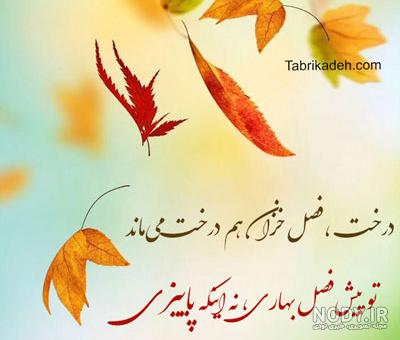 شعر خودکشی سید مهدی موسوی شعر خودکشی سید مهدی موسوی