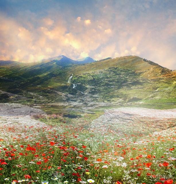 عکس رویای طبیعت