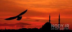 عکس ضد نور عاشقانه عکس ضد نور عاشقانه