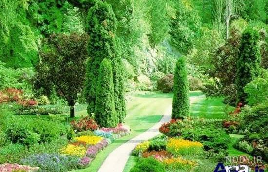 عکس طبیعت رویایی