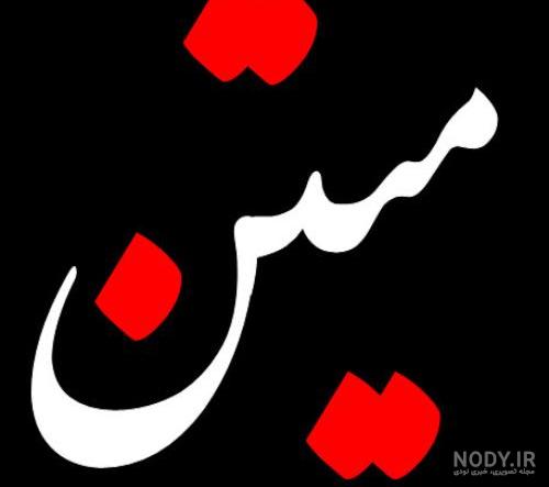 عکس محمد و متین امینی عکس محمد و متین امینی