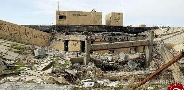 عکس نبش قبر صدام عکس نبش قبر صدام