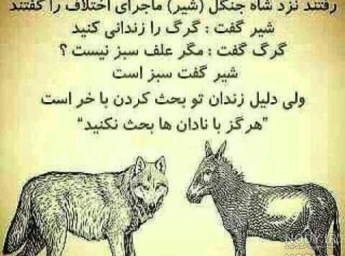 عکس نوشته ضرب المثل های تیکه دار